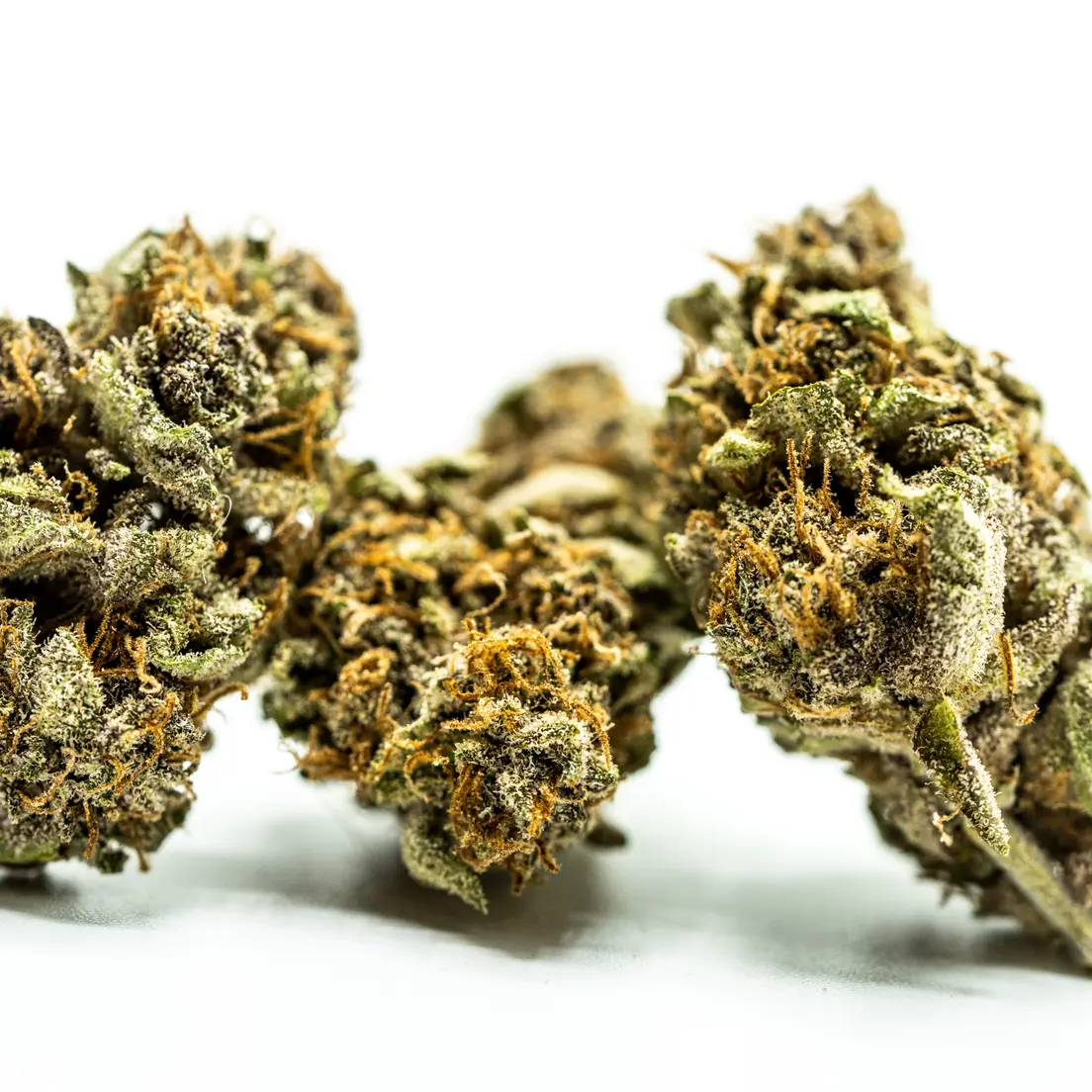 Blueberry Muffin