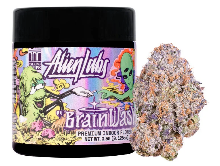 ALIEN LABS- 3.5 BRAIN WASH