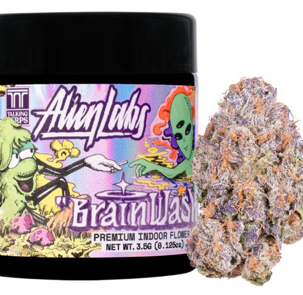 ALIEN LABS- 3.5 BRAIN WASH