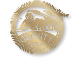 Gravity Grown - Pre Roll - Tangieland - 1g