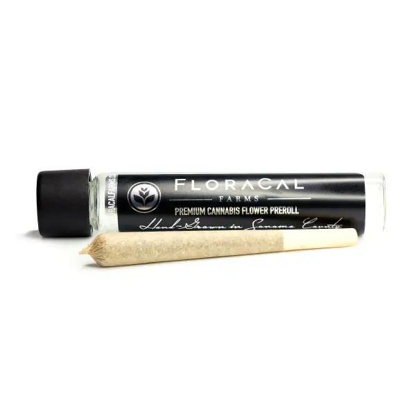 FloraCal Lemon Mints 1g Preroll SINGLE