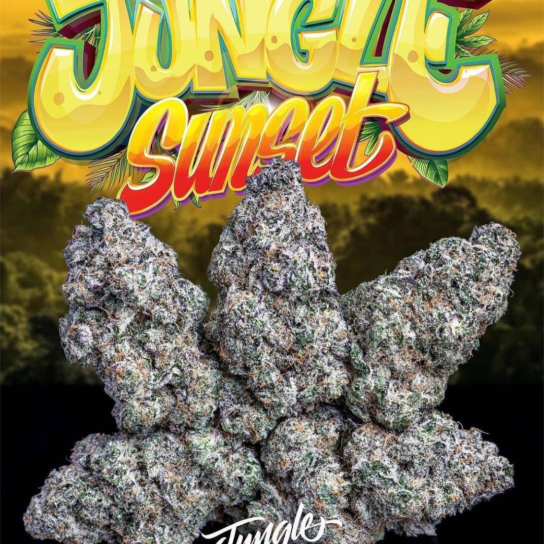 Jungle Boys - Sunset Sherb - 3.5g