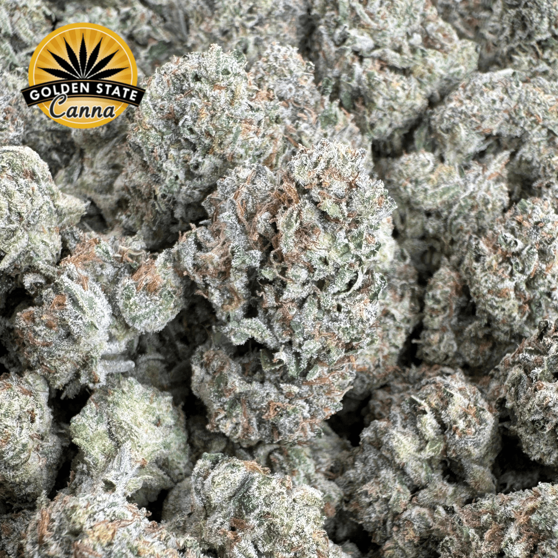 - Golden State Canna - Champagne Float | 28g | THC 31%