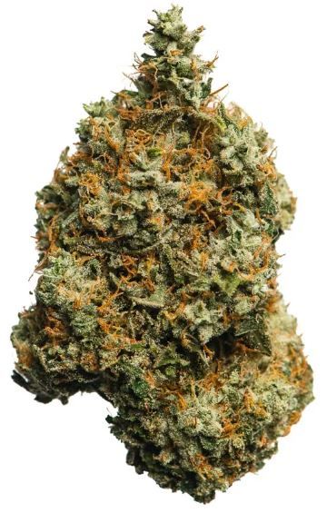 Chem De La Chem