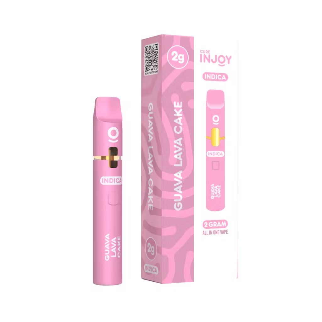 Guava Lava Cake -2G Disposable - Cure Injoy
