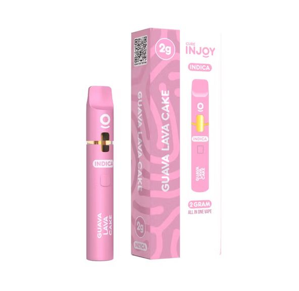 Guava Lava Cake -2G Disposable - Cure Injoy