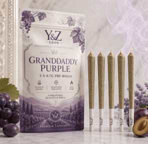 0.7G Pre-Roll: Granddaddy Purple (I) 5 PACK