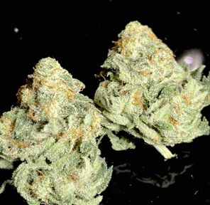 ICE CREAM COOKIES **$150 OZ SPECIAL**