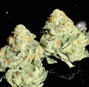 ICE CREAM COOKIES **$150 OZ SPECIAL**