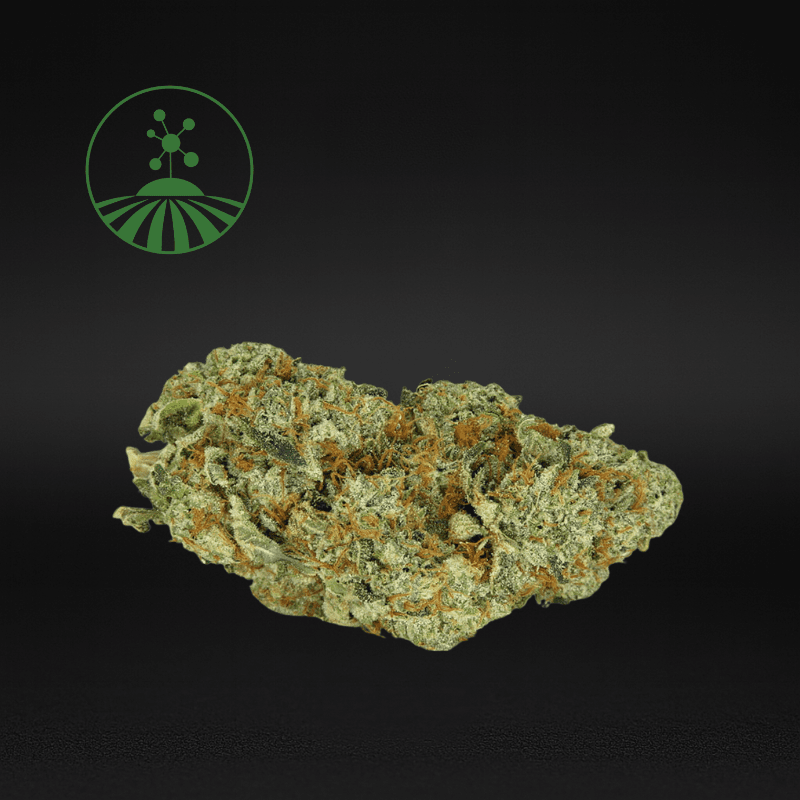 Molecular Farms | Cali Gas - Flower | 3.5g | Hybrid