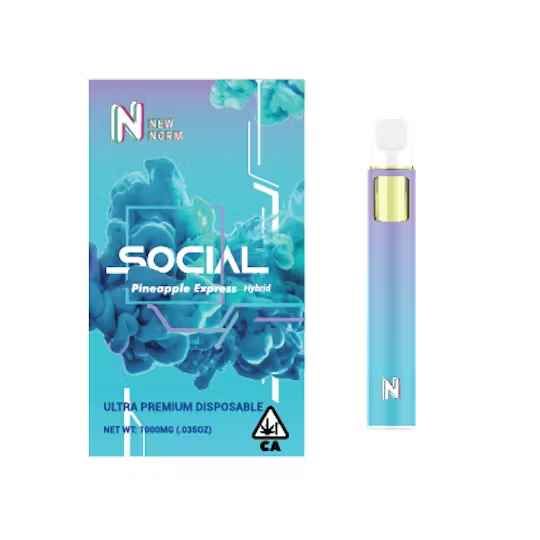 New Normal| Effect Disposable| Social (Pineapple Express)| 1g| H