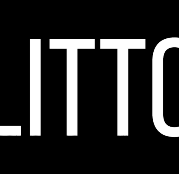 LITTO - Live Resin Disposable - 1g - Berry Bomb