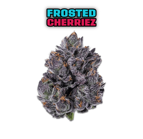 FROSTED CHERRIEZ - 28G | INDOOR FLOWER