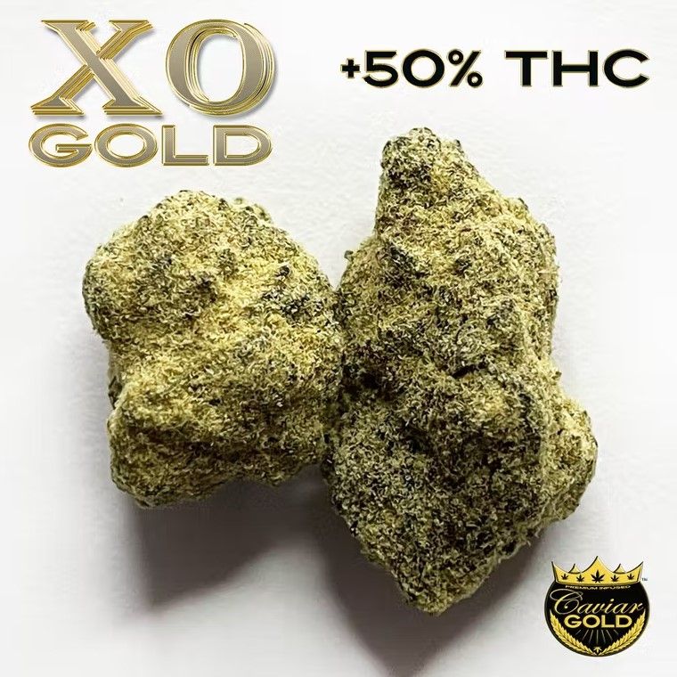 Xo Gold - Blue Legend