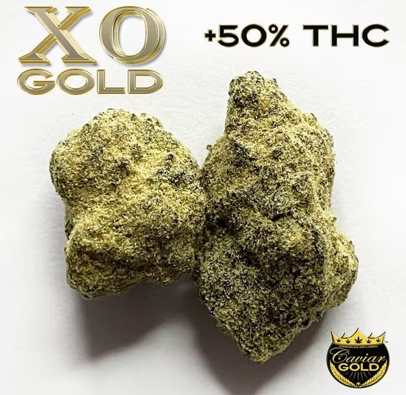 Xo Gold - Blue Legend