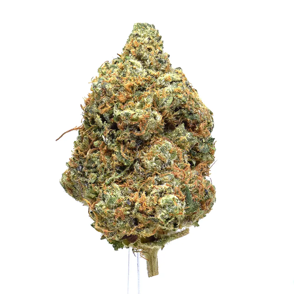 Pink Alien | SALE!