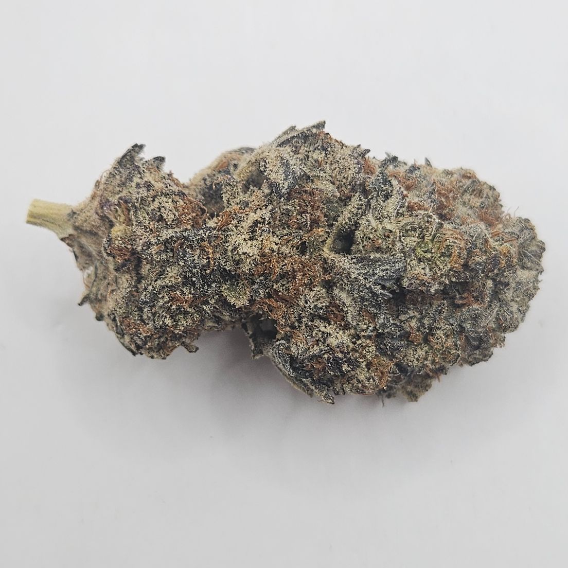*Indoor - Frosty O - 24% - IDH