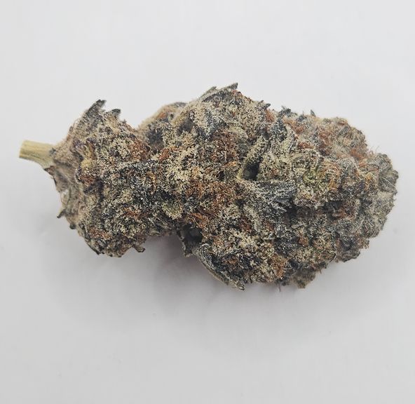 *Indoor - Frosty O - 24% - IDH