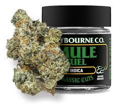 Claybourne Co-Classic Cut- Mule Fuel- 3.5G-Indica