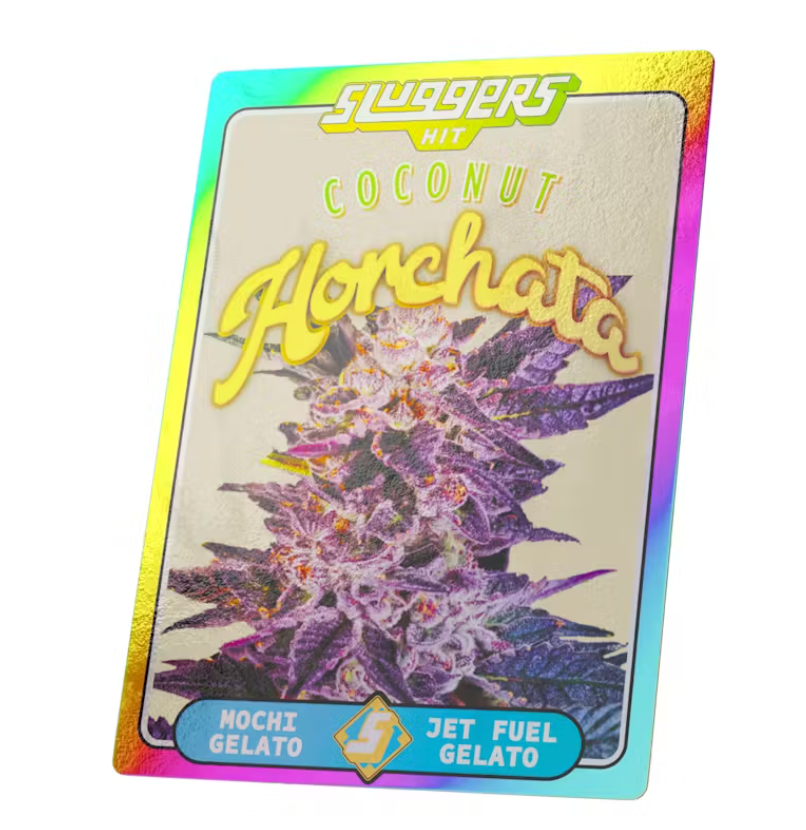 SLUGGERS X DUBZ GARDEN 5PK- COCONUT HORCHATA