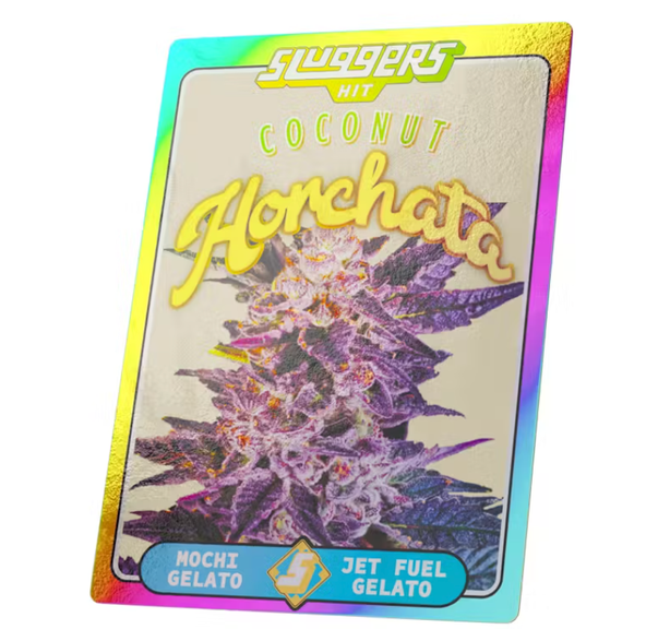 SLUGGERS X DUBZ GARDEN 5PK- COCONUT HORCHATA