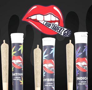 Bud Traderz 1g Preroll - Runtz Punch