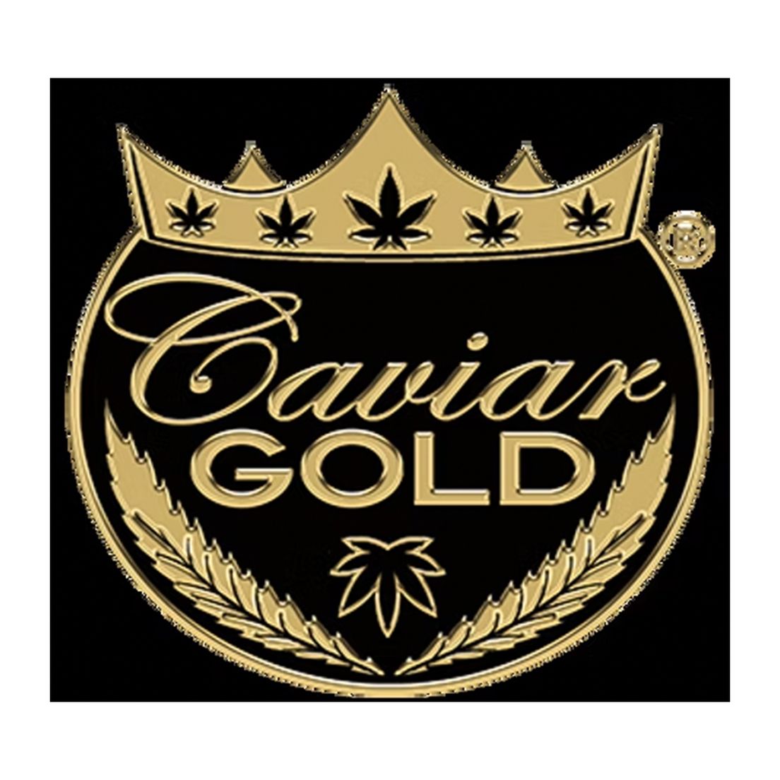 Cavi Cone - 1.3g Infused Glass Tip Joint - Cavi Land