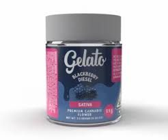 [Gelato] Indoor Flower - 3.5g - Blackberry Diesel (S)