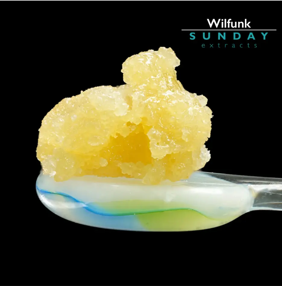1g Concentrate Cured Resin - Wilfunk