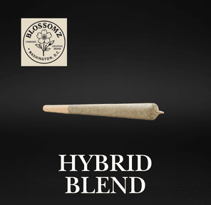 Blossomz | Hybrid Blend Pre-Roll | 1g