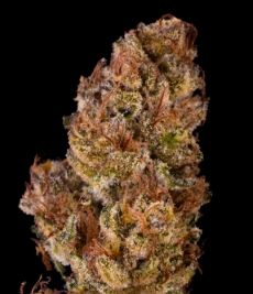 Sour Cherry Diesel pre-roll