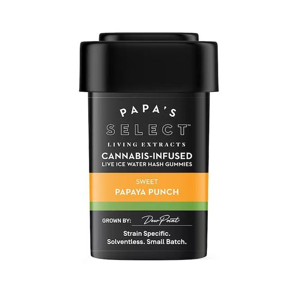 Sweet Papaya Punch, Ice Water Hash Gummies