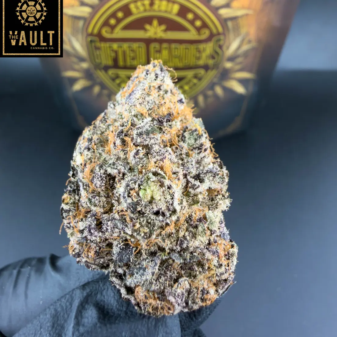 7G -GIFTED GARDENS | KING CHERRY (AAAA+)