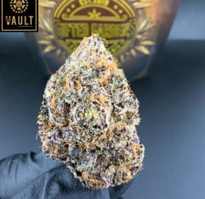 7G -GIFTED GARDENS | KING CHERRY (AAAA+)