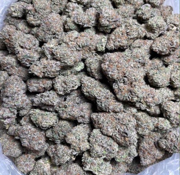 Icecream Cake (Tranquil Harvest)