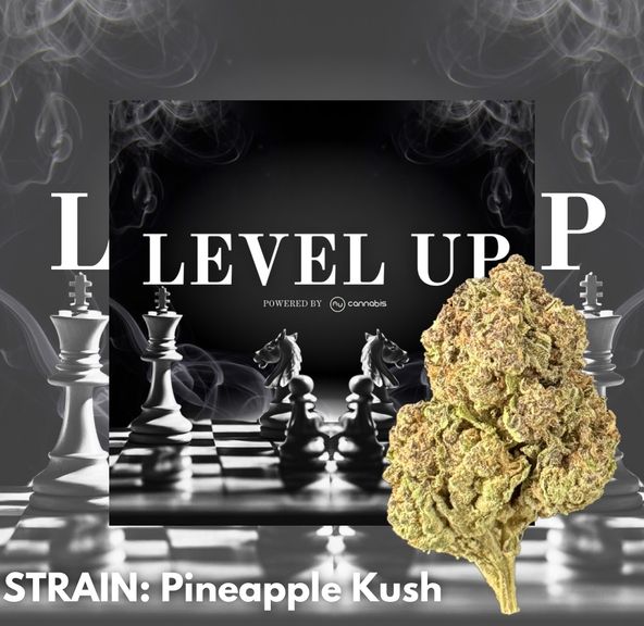 Level up - Pineapple Kush - Premium Flower - 3.5