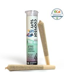 Coastal Sun - Grape Hooch 2pk Infused Preroll 1.5g