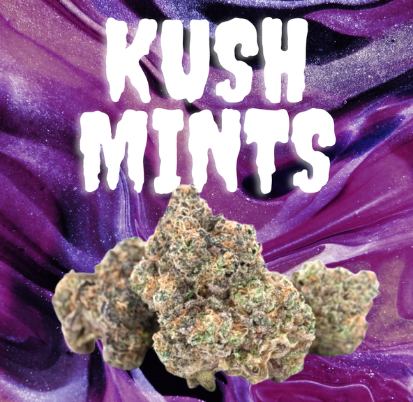 DAZE - Kush Mints (28g) Shake