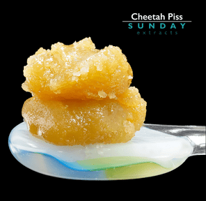 1g Concentrate Cured Resin - Cheetah Piss