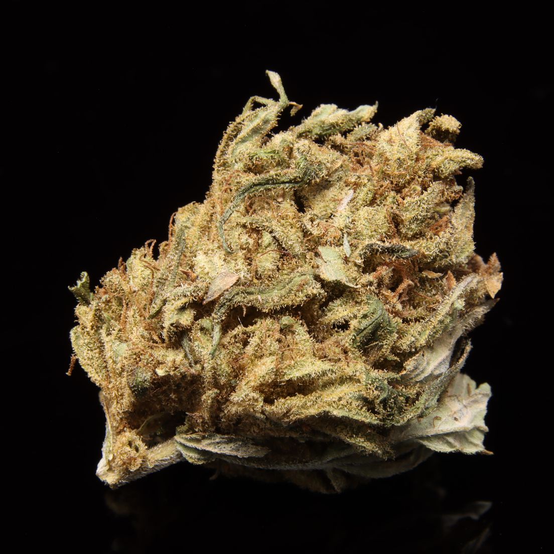 Bananarama - 4 Ounces for $100. Grade (AA)