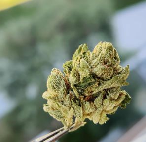 PR. Private Reserve OG 7g - PACIFIC STONE
