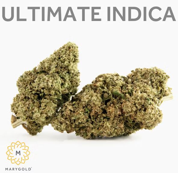 Marygold - Ultimate Indica 3.5g