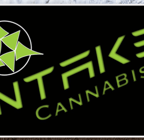 Intake Cannabis - Pod Battery