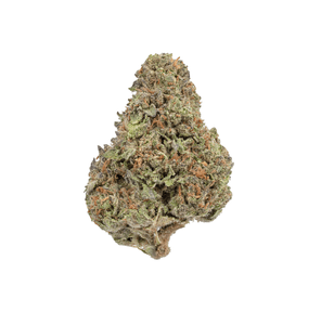 Mango Sherbert (Economy)