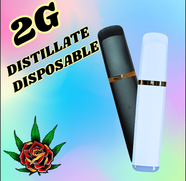 EDEN ROSE BLUEBERRY LEMONADE DISPOSABLE 2G
