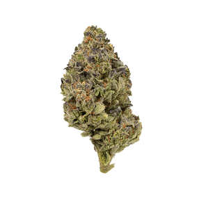 GMO Cookies (Premium)