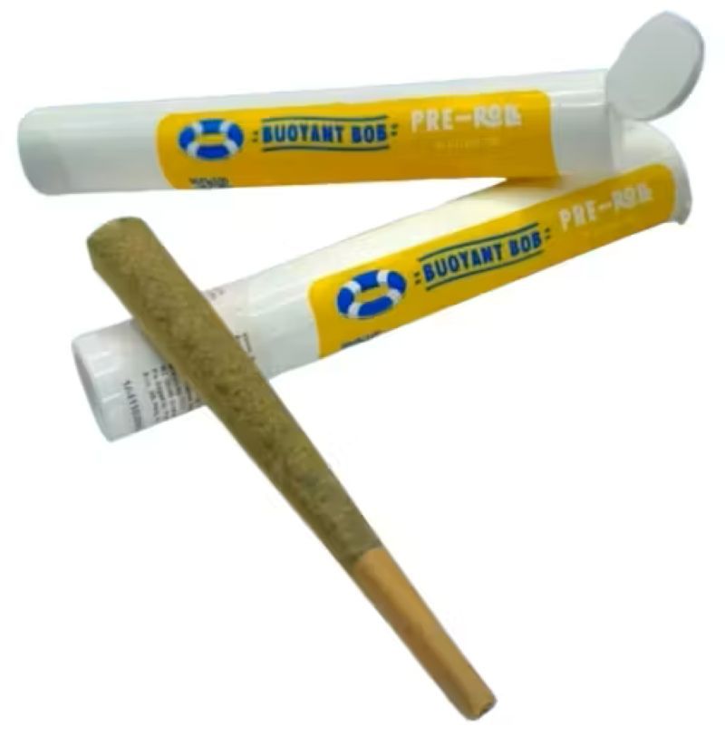 Buoyant Bob's | Bob's Nutty Professor | 1g Pre-Roll