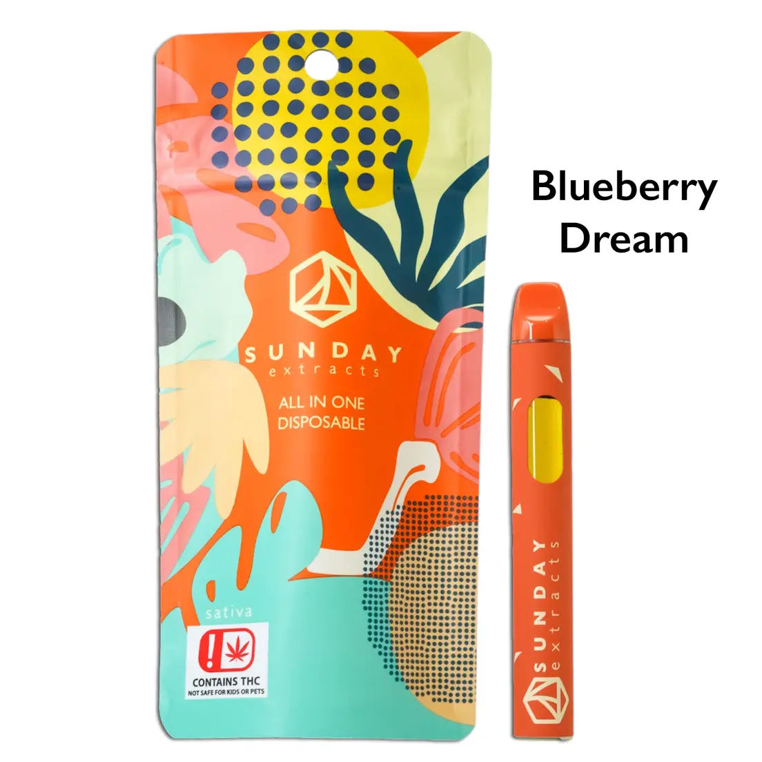 2g Disposable - Blueberry Dream - Sunday