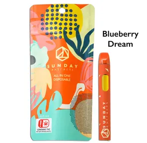 2g Disposable - Blueberry Dream - Sunday