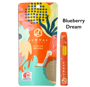 2g Disposable - Blueberry Dream - Sunday